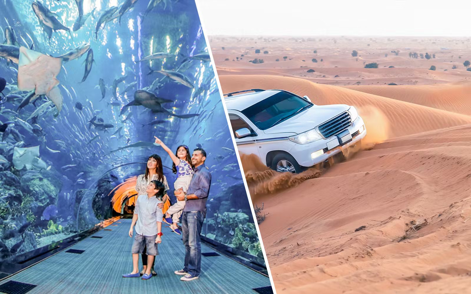 Super Saver: Burj Khalifa + Desert Safari + Dubai Aquarium & Underwater Zoo