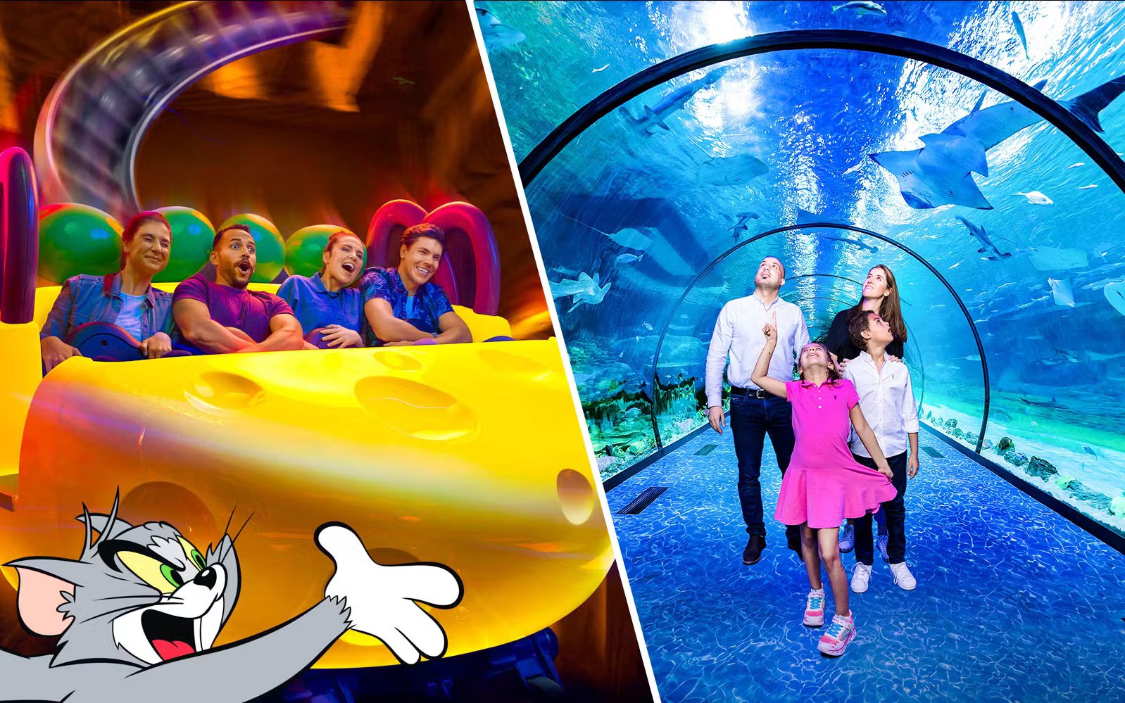 Warner Bros. World + National Aquarium Abu Dhabi
