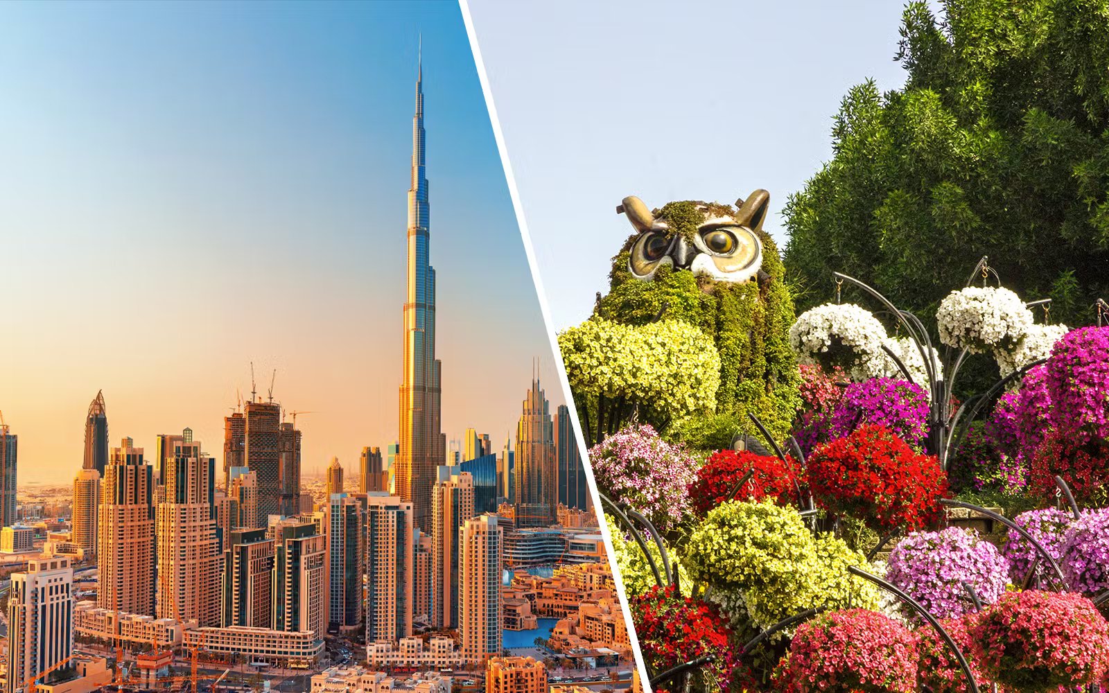Super Savers: Burj Khalifa + Dubai Miracle Garden